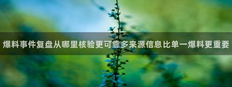 网络热点资讯