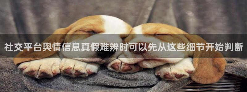 吃瓜网页入口