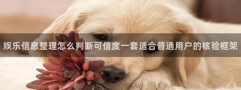 吃瓜每日资讯