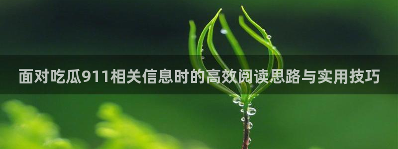 51吃瓜最新话题：面对吃瓜911相关信息时的高效阅读思路与实用技巧