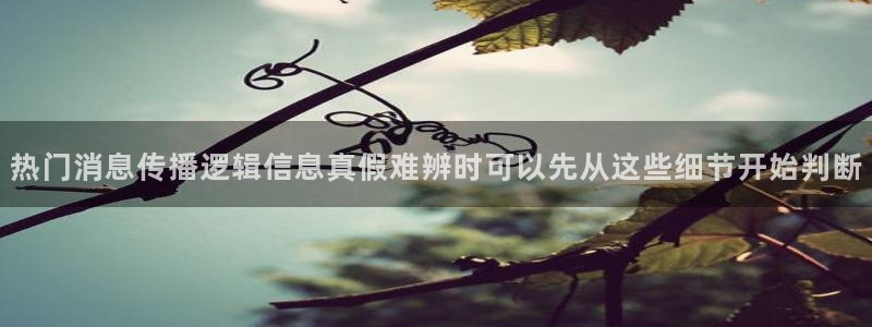 51吃瓜在线:热门消息传播逻辑信息真假难辨时可以先从这些细节开始判断